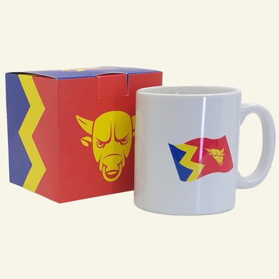 Brumbox Birmingham flag ceramic mug and display box