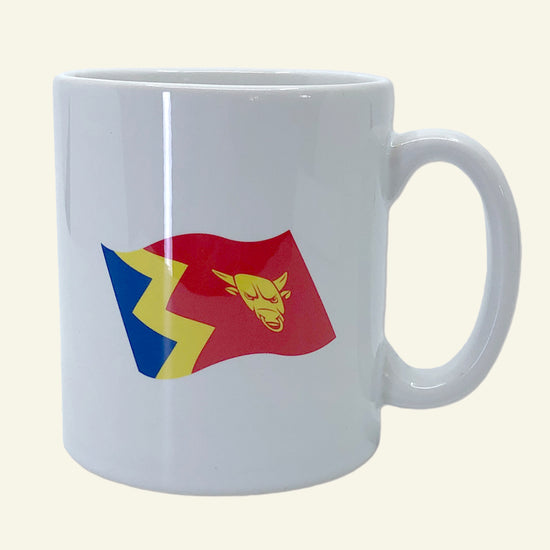 Brumbox Birmingham flag ceramic mug