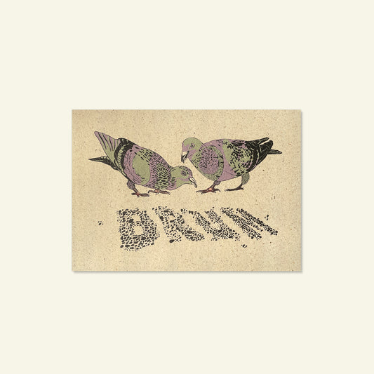 Brumbox Birmingham pigeon A3 art print